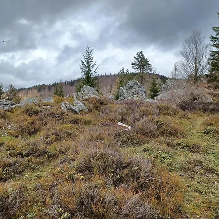 In Der Naehe Der Skipiste Feriehus *