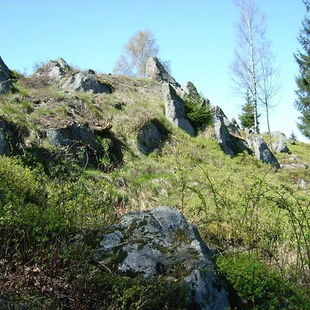 Feriehus In Der Naehe Der Skipiste