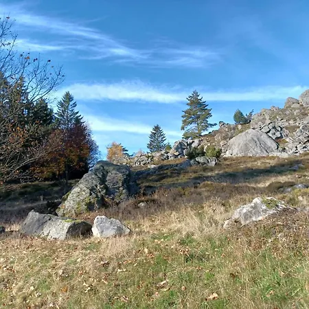Feriehus In Der Naehe Der Skipiste