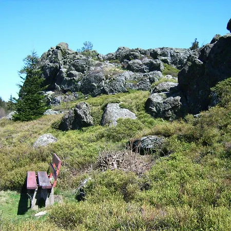 In Der Naehe Der Skipiste Feriehus Stadlern
