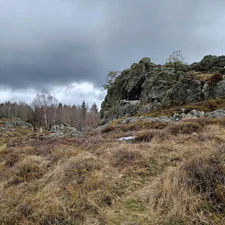 In Der Naehe Der Skipiste Feriehus