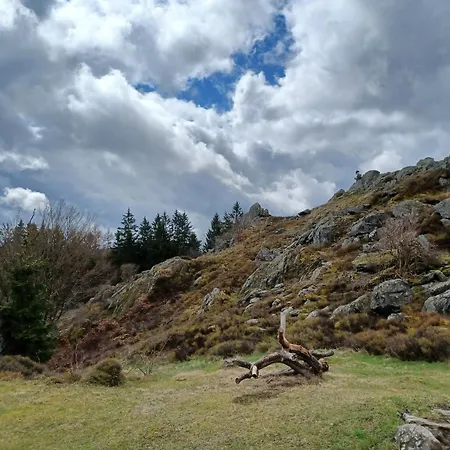 In Der Naehe Der Skipiste *