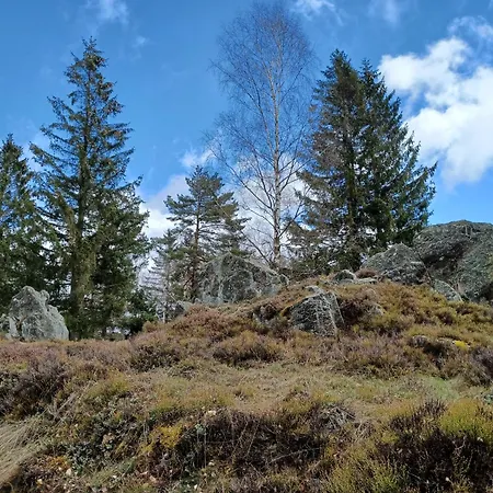 In Der Naehe Der Skipiste * Stadlern