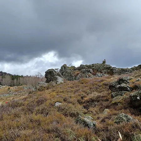 In Der Naehe Der Skipiste Feriehus