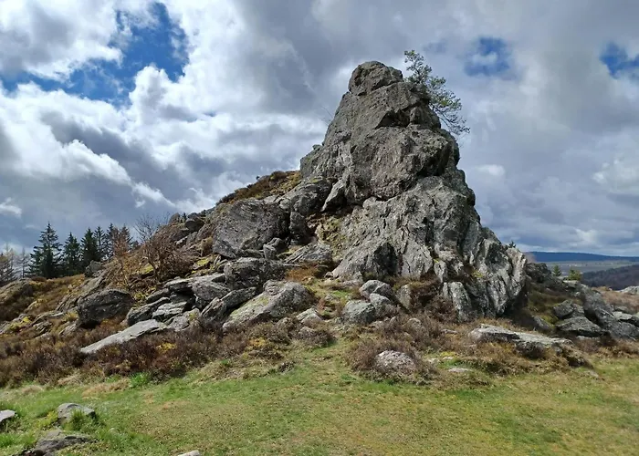 In Der Naehe Der Skipiste Prázdninový dům Stadlern