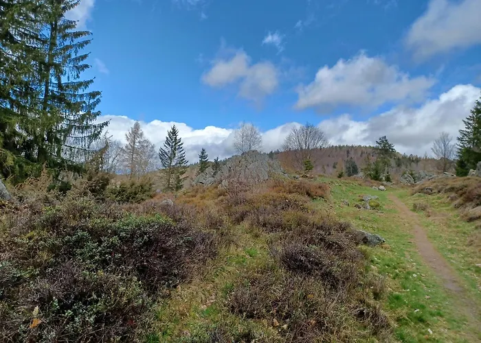 In Der Naehe Der Skipiste Stadlern