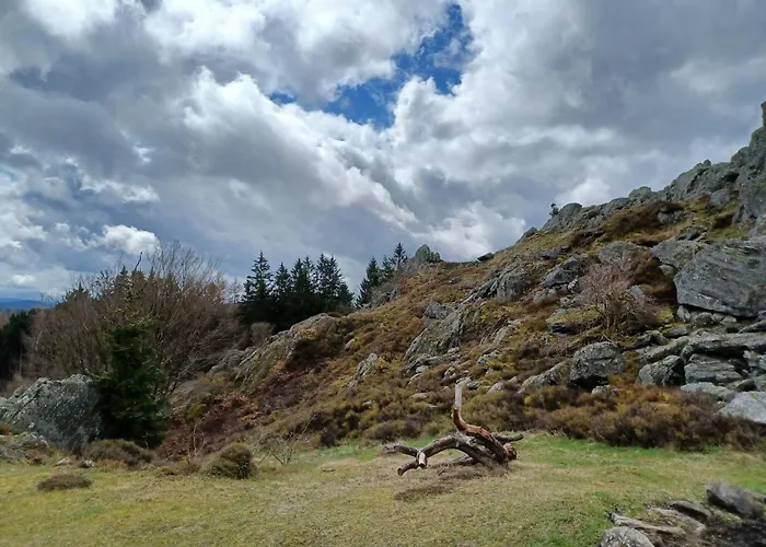 In Der Naehe Der Skipiste *
