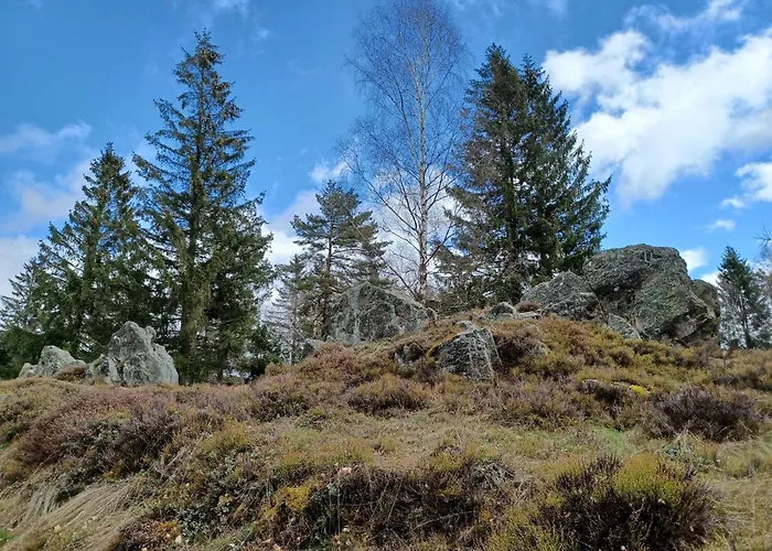 In Der Naehe Der Skipiste * Stadlern