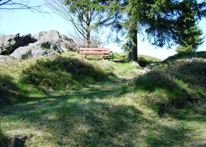 In Der Naehe Der Skipiste * Stadlern