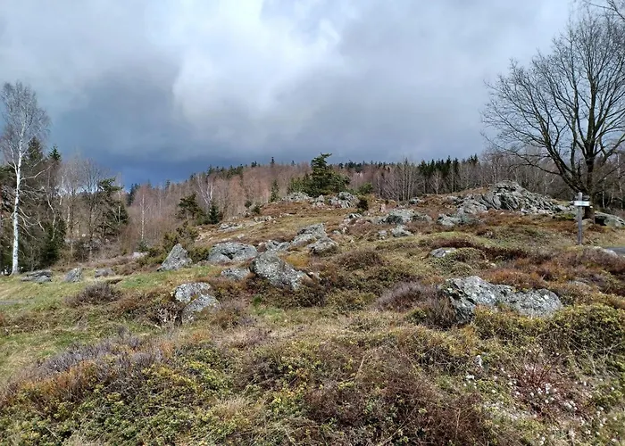 In Der Naehe Der Skipiste Prázdninový dům Stadlern