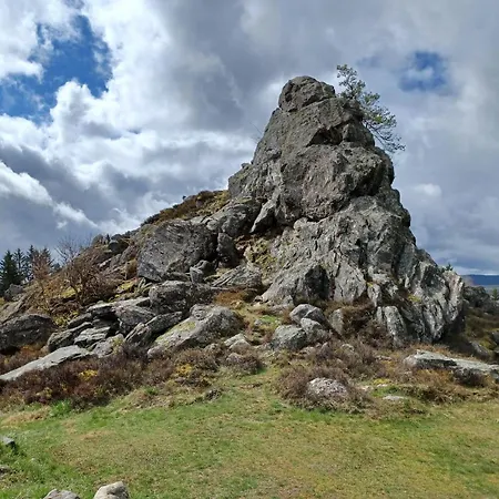 In Der Naehe Der Skipiste Tatil Evi Stadlern