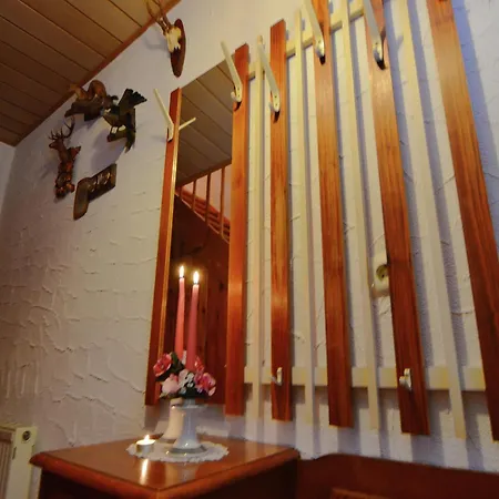 Tatil Evi In Der Naehe Der Skipiste Stadlern