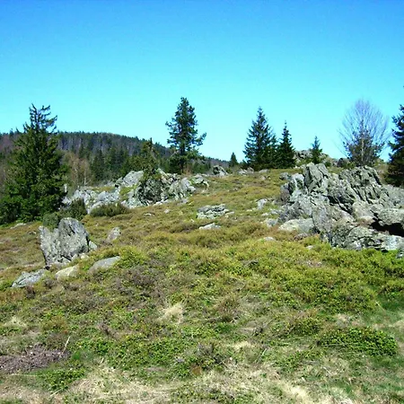 In Der Naehe Der Skipiste Tatil Evi *