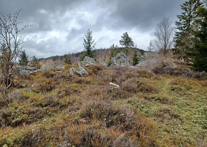 In Der Naehe Der Skipiste Feriehus *