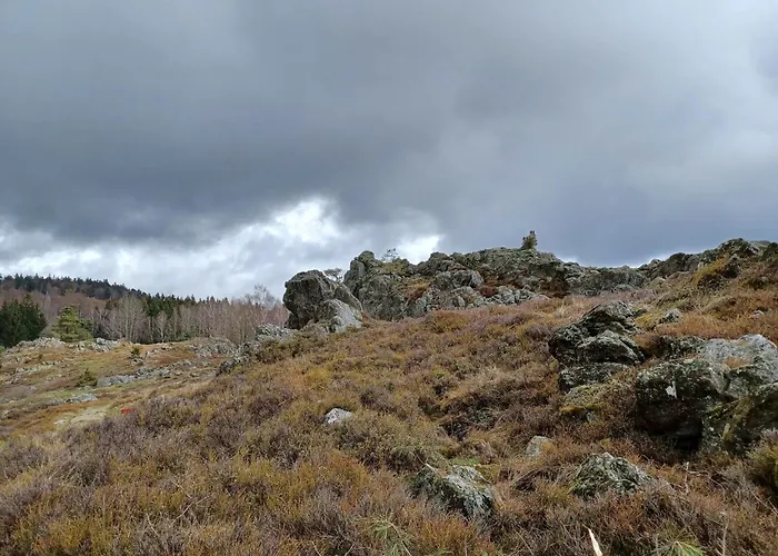 In Der Naehe Der Skipiste Feriehus